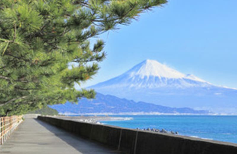 静岡・浜松・沼津エリアのおすすめスポット